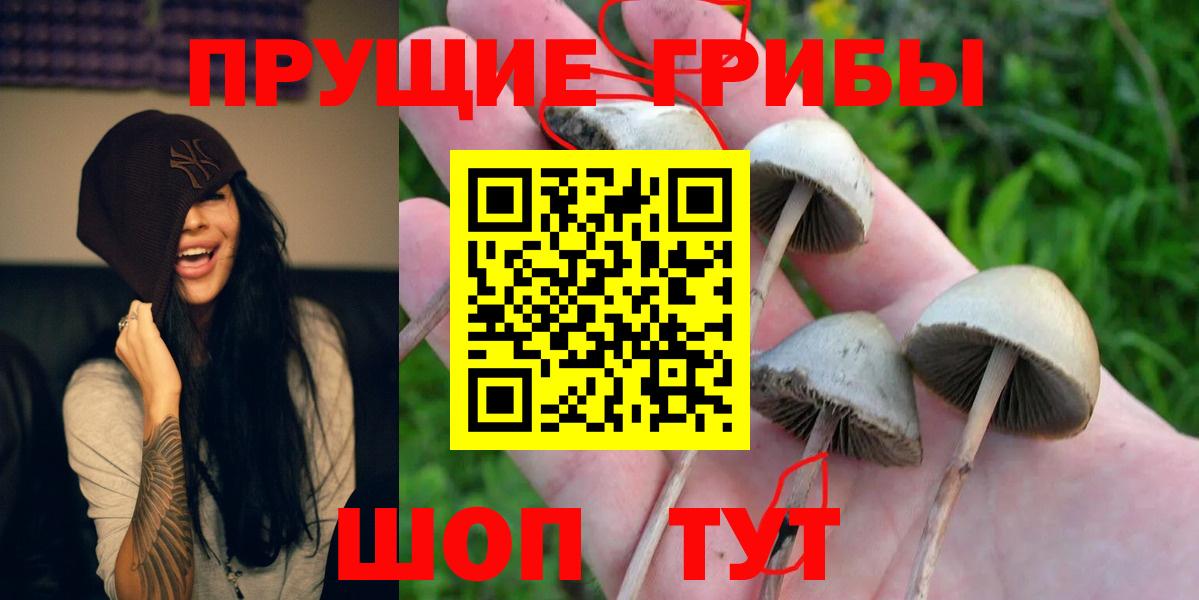 Псилоцибиновые грибы ЛСД  Вход с VPN  Дюртюли 